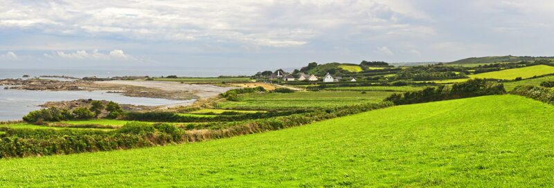 Grüne Wiesen in der Normandie