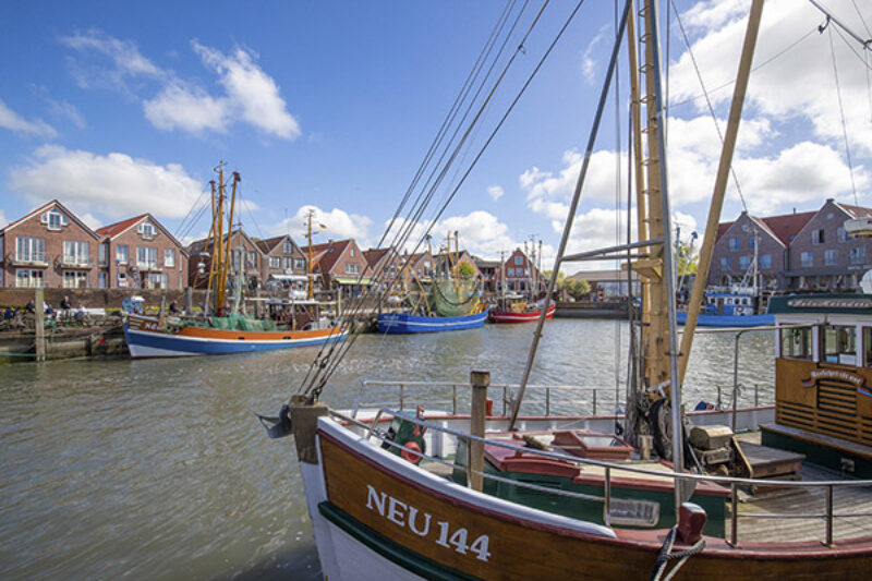 Im Hafen können Gäste einen Tee oder ein Bier trinken, ein Fischbrötchen essen oder einfach nur dem Treiben vor Ort zusehen.