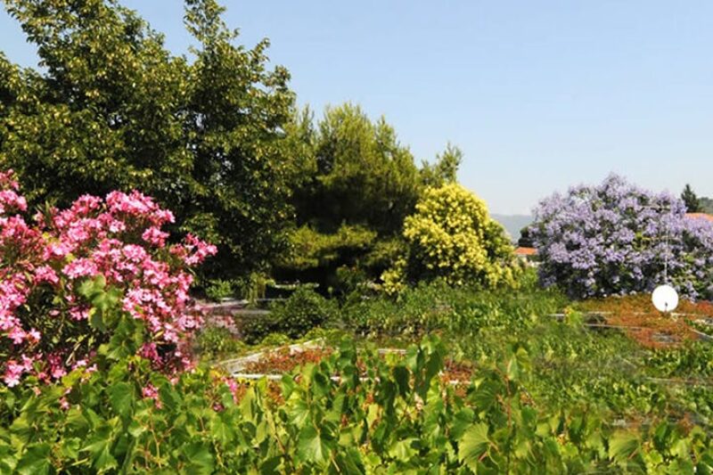 Gartenanlage auf dem Campingplatz