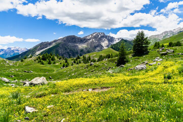 Berge Pässe Col de Vars