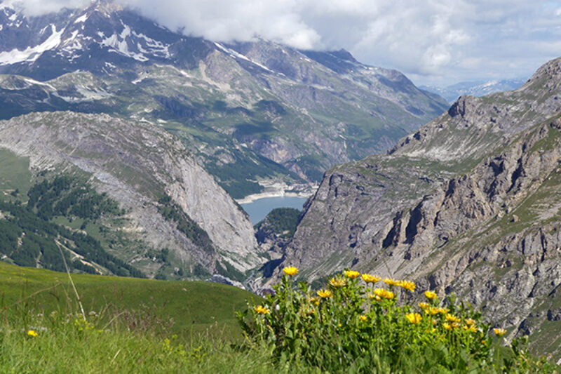 Col-de-l’Iseran-der-höchste-befahrbare-Pass-der-Alpen