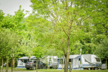 Camping-Moli-Serradell---Stellplaetze-fuer-Wohnwagen-zwischen-Baeumen