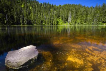 Wildsee, Schwarzwald