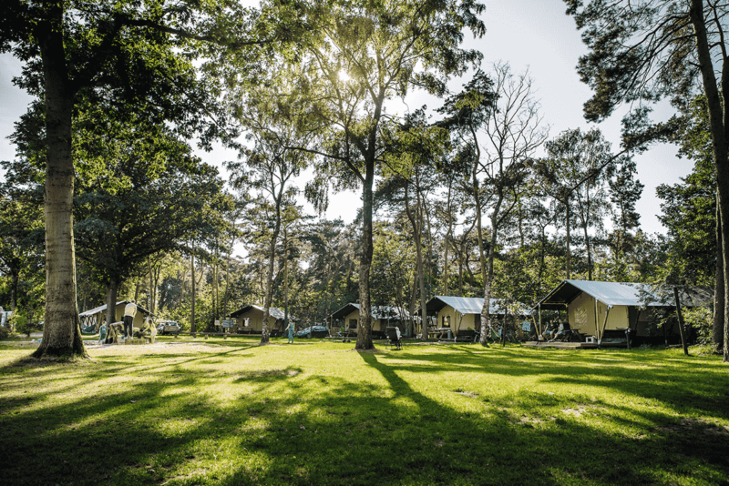 Campingplatz Beringerzand in Limburg