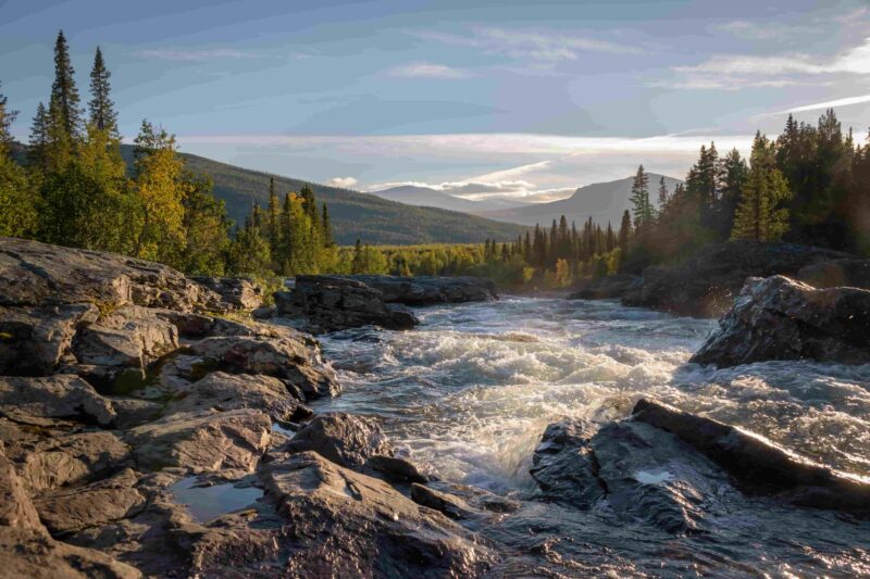 Ein wilder Fluss inmitten der weitläufigen schwedischen Natur