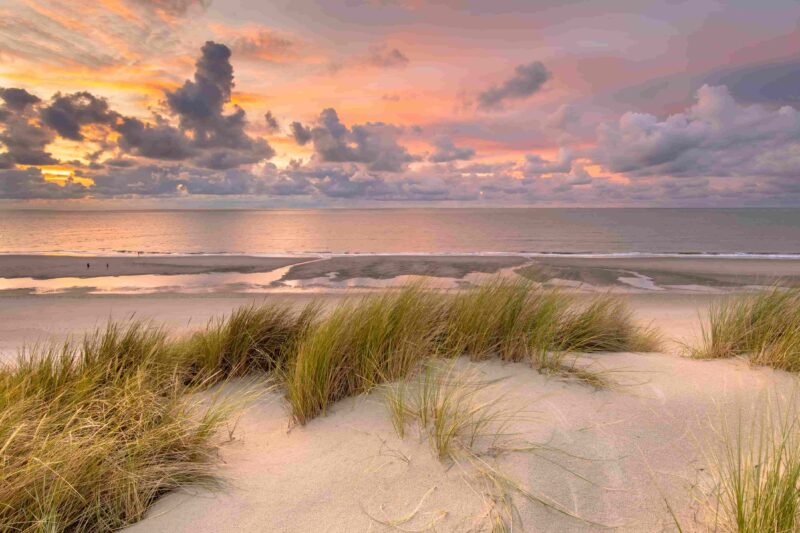 Blick über die Nordsee von der Düne