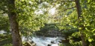 Schwarzwaldcamping-Alisehof---Wasserlauf-auf-dem-Campingplatz