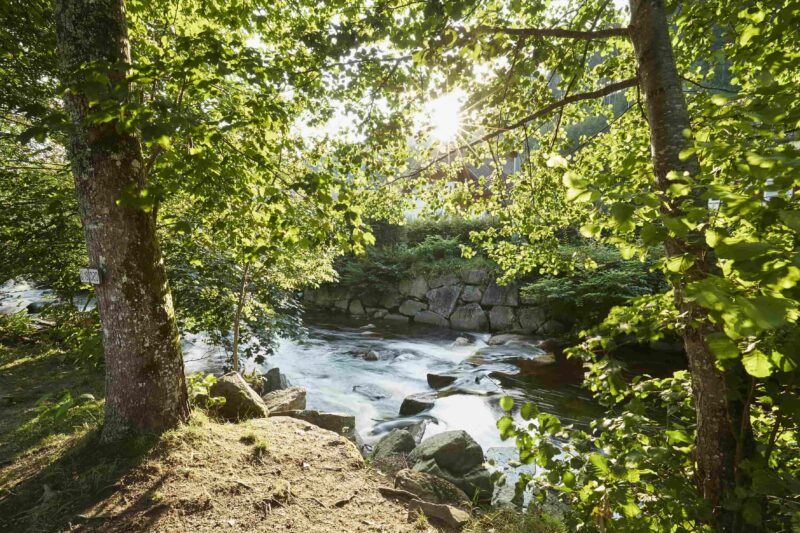 Schwarzwaldcamping-Alisehof---Wasserlauf-auf-dem-Campingplatz