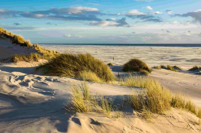 Landschaft mit Dünen auf der Insel Amrum