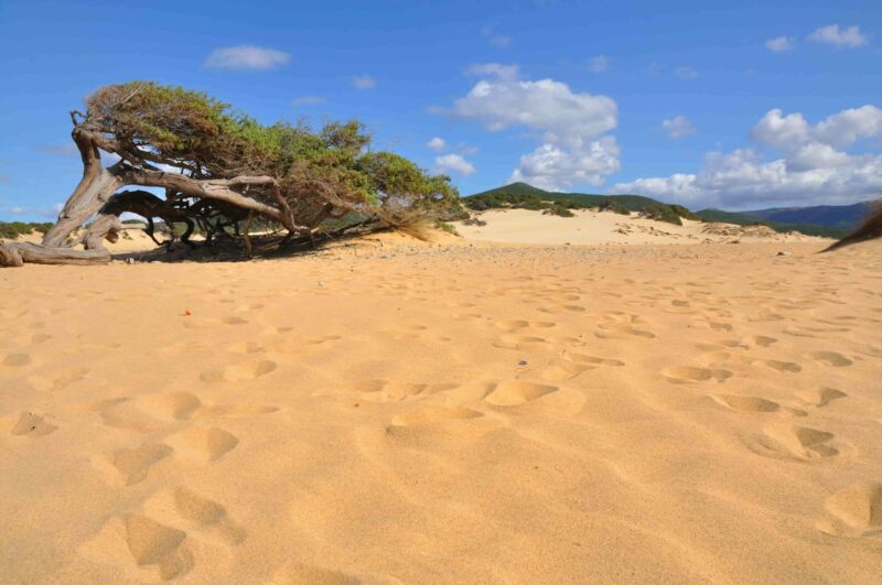 Dune di Piscinas, Sardinien