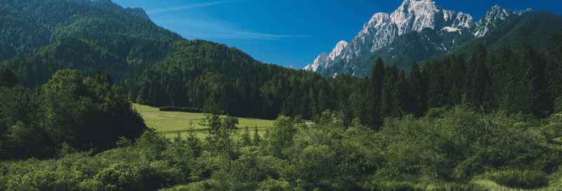 Frau genießt die Freiheit in der Natur im Freien, Slowenien
