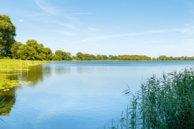 Campingparadies Sternberger See:  Urlaub im Land der 100 Seen