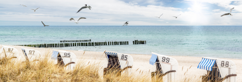 Strandkörbe stehen am Meer an der Ostsee