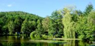 Naturresort Waldglück