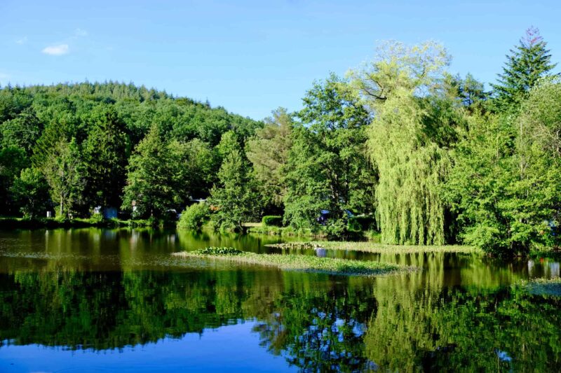 Naturresort Waldglück
