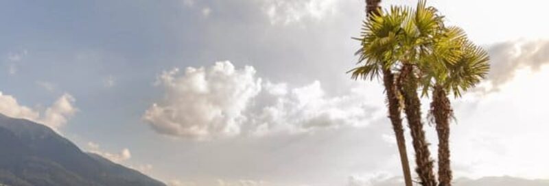 Camping-Campofelice-Tenero