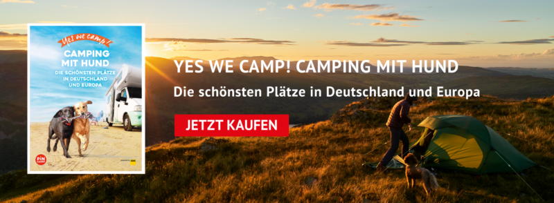 Yes we camp! Camping mit Hund