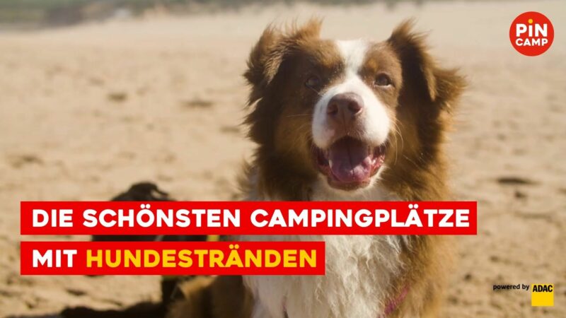 Die schönsten Campingplätze mit Hundestränden