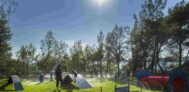 Lanterna Premium Camping Resort in Kroatien