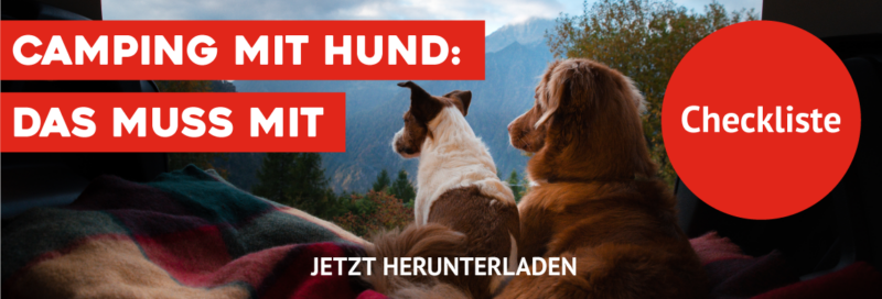 Checkliste Camping mit Hund