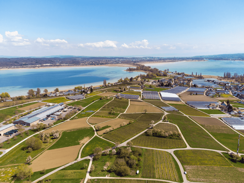 Blick über die Insel Reichenau im Bodensee, am Horizont der Reichenaudamm