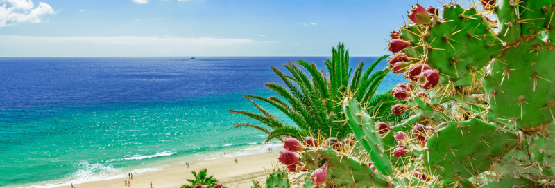 Strand von Esquinzo, Fuerteventura, Kanarische Inseln (Kanaren), Spanien