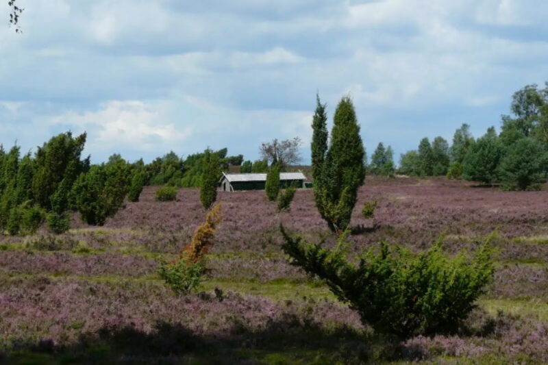 Campingplatz Auf dem Simpel