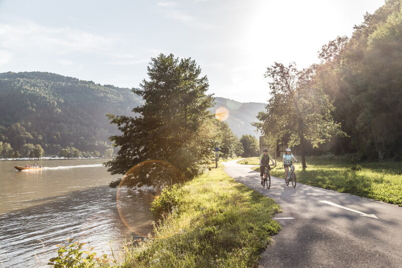 Radfahren Donauradweg Schloegener Schlinge Paar -Oberoesterreich Tourismus GmbH Moritz Ablinger