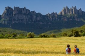 Weinberge mit Meeresbrise – Von Barcelona nach Tarragona