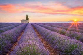 Die schönste Reiseziele im Juni: Tipps für den Frühsommer
