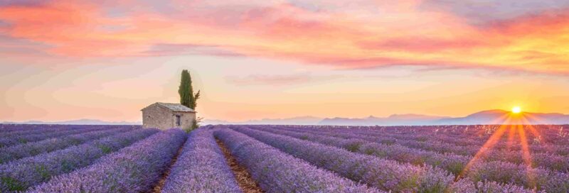 Valensole, Provence, Frankreich
