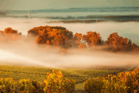 Camping zur Tour de France 2026: Von Barcelona nach Paris die Tour erleben