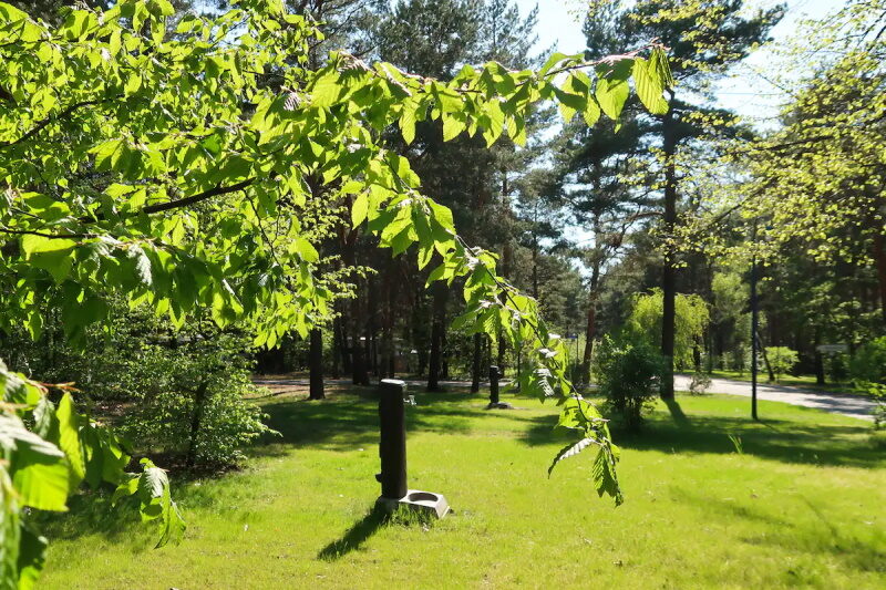 Familienpark Senftenberger See