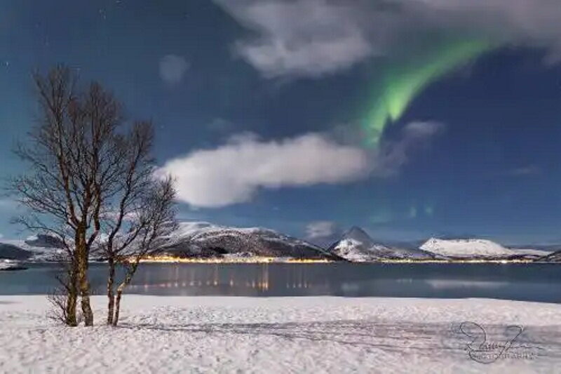 Fjordbotn Camping