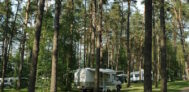 Campingplatz am Leppinsee - Standplätze