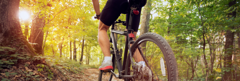 mountain bike in sunny forest © luckybusiness