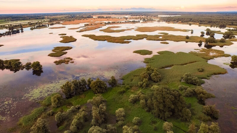 Der Naturpark Kopački Rit ist Lebensraum für unzählige Tierarten. © Croatian National Tourist Board/Ivo Biočina