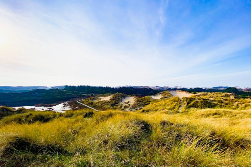 Campingplatz Amrum