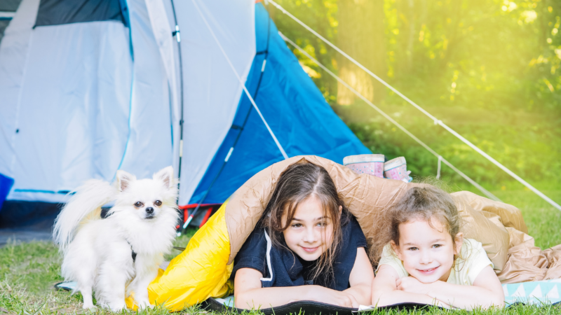 Ebooks und Downloadmaterial: Camping mit Kindern und Haustieren