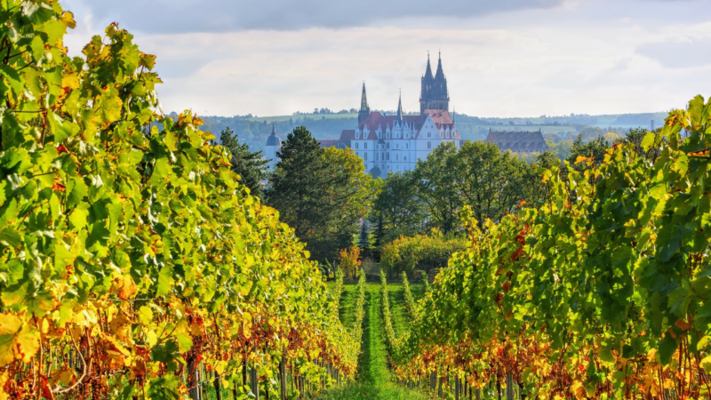 Urlaub in Deutschland: das musst du wissen - meissen