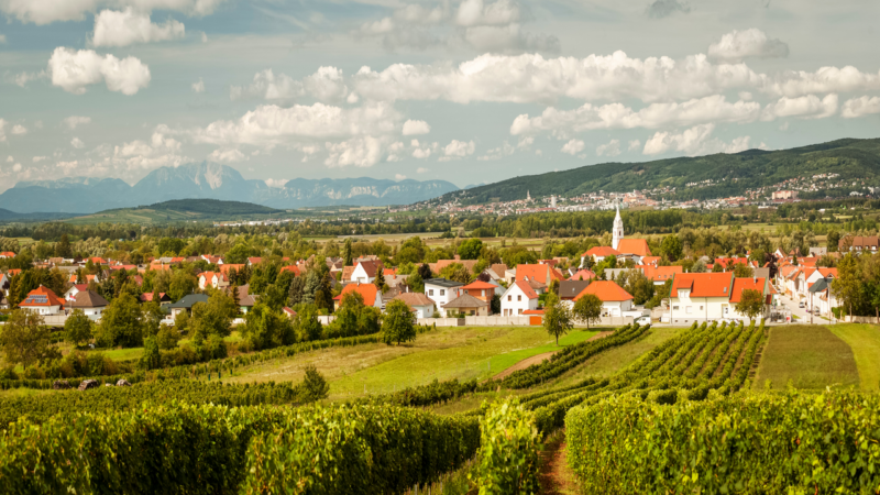 Urlaub in Österreich: Das musst du Wissen - Dorf Oslip