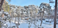 Campingplatz Trassenheide im Winter