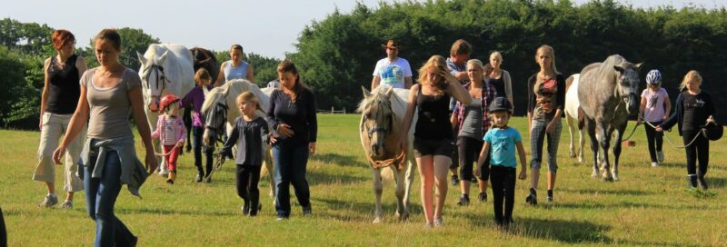 Campingplätze mit Ponyreiten