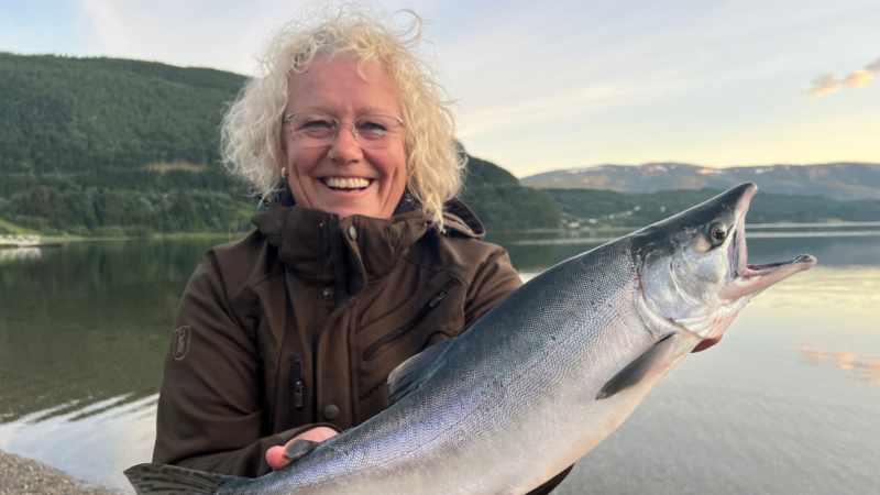 angeln in norwegen beste zeit