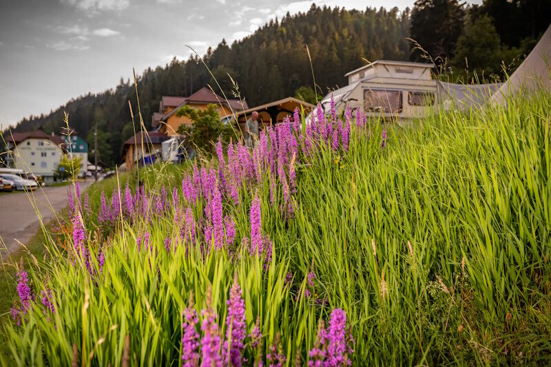 Family-Resort Kleinenzhof - Natur