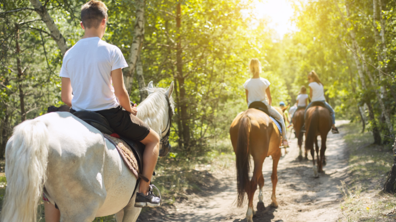 campingplätze mit geführten ausritten deutschland