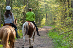 Campingplätze mit geführten Ausritten