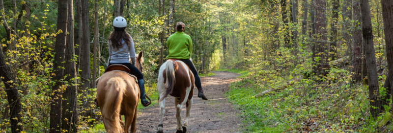 campingplätze mit geführten ausritten - pferde