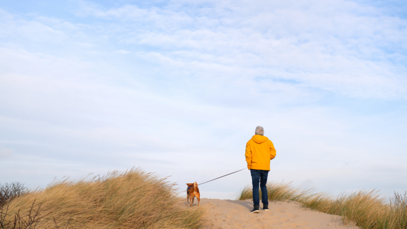 hundeverbot: leinenpflicht im nationalpark wattenmeer