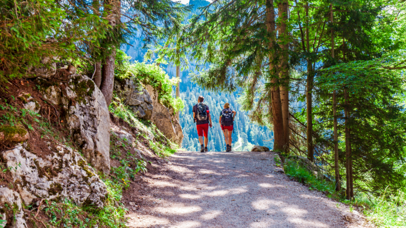 wandern in der nähe: camping wanderregionen in deutschland